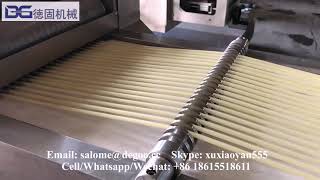 Fried 2D Papad Pipe Snack Pellets Fryums Extruder machine maker production process plant [upl. by Nihsfa66]