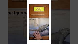 The Magnificent Book of Ocean Creatures science homeschooling flip through [upl. by Aicilaf732]