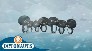 Octonauts  The Great Arctic Adventure  Christmas Special  Cartoons for Kids [upl. by Nicks]