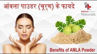 Amla powder आंवला पाउडर khane ke fayde  Benefits for Hair Skin Digestion amp Weight Loss [upl. by Frasch]