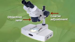 Simple and Compound Microscope [upl. by Ahs528]