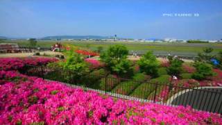 Timelapse High Speed Airplane in Airport HD 720p [upl. by Eilyah]