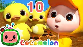 Count to 10 Little Duckies  CoComelon Animal Time  Animals for Kids [upl. by Struve]