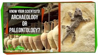 Know Your Scientists Archaeology or Paleontology [upl. by Akinor]