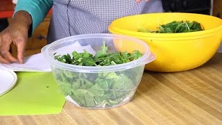 How To Keep Salad Fresh For Days Tips and Tricks [upl. by Anah743]