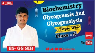 Reaction of Glycogenesis  Glycogenolysis Pathway  Reaction of Glycogenolysis  By GS Sir [upl. by Lynn93]