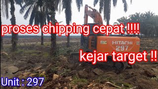 proses chipping kelapa sawit kejar target [upl. by Iverson307]