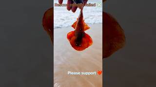 Rescue mission failed ❎ fishing fish trending beach dhanush [upl. by Herby]