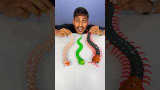 Remote Control Kankhajura and RC Snake rcsnake [upl. by Acissj]