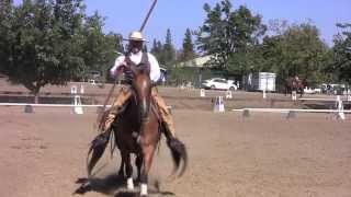 Cowboy Dressage Freestyle at the Gold N Grand [upl. by Lemert]