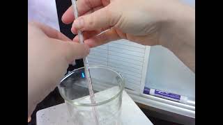 Phase change vs chemical change lab activity [upl. by Prissy]