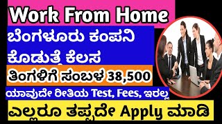 Work from Home Job 2023 Monthly Payment Work From Home Online Jobs At Home In Kannada [upl. by Niahs]