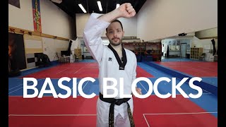 Basic Taekwondo Blocks [upl. by Charlotte]