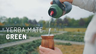 Yerba mate green  dlaczego warto zmieszać dwie yerby  Czajnikowypl [upl. by Sapphira267]