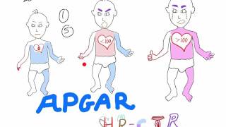 Understanding APGAR score the best explanation with a mnemonic [upl. by Lapham]