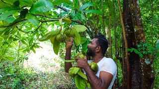 Traditional village Elephant Apple recipe  Dillenia Indica  Hondapara Recipe😋 [upl. by Siednarb]