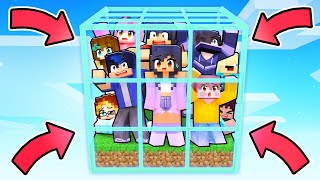 10 FRIENDS in 1 BOX in Minecraft [upl. by Adnilem]