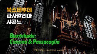 샤콘느와 파사칼리아  북스테후데  Buxtehude Ciacona amp Passacaglia  저녁의 음악  헤르만 헤세의 데미안  싱클레어 [upl. by Yerrot]