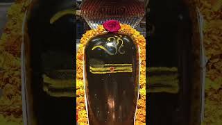 Mahakal baba har mahadevmandir song shorts​ stetus mahakaleshwar ujjainmahakal rameshwaram [upl. by Sundstrom]