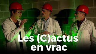 Les Cactus en vrac de Jérôme de Warzée  Le Grand Cactus 133 [upl. by Lanfri856]