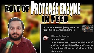 Feed Formulation my Protease Enzyme kia role play krta hy  Role of Protease Enzyme in Feed 🐓🐔🐤🥚 [upl. by Mackintosh]