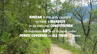 In Bhutan minimum of 60 under forest cover for all time [upl. by Esiuolyram]