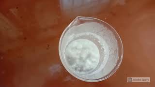 Preparation of Phenol Formaldehyde Resin [upl. by Ennaillij]