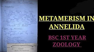 Metamerism in annelida bsc 1st year zoology zoology bsczoology vbu bbmku skmu zoologynotes [upl. by Brnaby636]