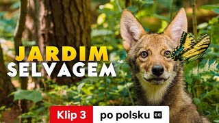 Dzikie królestwo w ogrodzie Klip 3 z napisami  Zwiastun po polsku  Netflix [upl. by Richmal180]