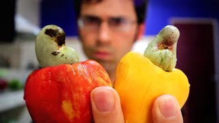 Cashews come from a fruit  Weird Fruit Explorer [upl. by Daryl]