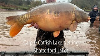 Netting the Gainsborough lake  Shatterford Lakes [upl. by Nay]