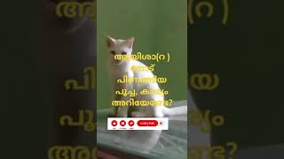 usthadmedia പിണങ്ങിയ പൂച്ചയുടെ കാര്യം അറിയേണ്ടേ [upl. by Rosemarie]