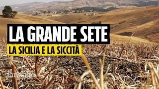 Siccità viaggio nella Sicilia della grande sete “Siamo costretti a macellare i nostri animali” [upl. by Annodam4]