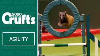 Large International Agility Agility Round  Part two  ​Crufts 2020 [upl. by Ora555]