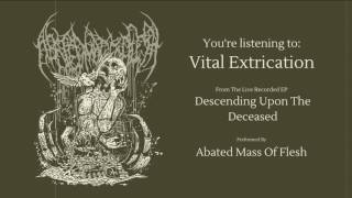 Abated Mass Of Flesh  Descending Upon The Deceased FULL EP STREAM [upl. by Hansel127]