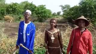 Fulani music video  Love that Never Ends [upl. by Ecnerolf]