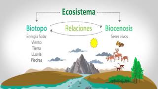 EL BIOTOPO Y LA BIOCENOSIS [upl. by Ebbie200]