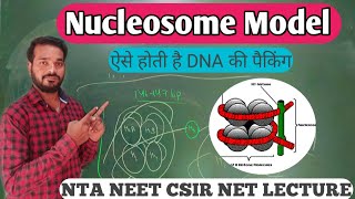 Nucleosome  Nucleosome model  DNA Packing  Histone protein  Nucleosome model in hindi  neet bio [upl. by Ahar]