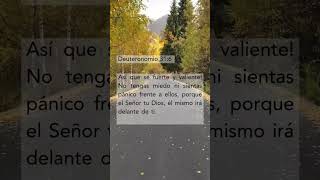 Confia en Dios 🙏🏻✨🙌🏻jesus amor reels viralvideo god reaction subscribe dios worship [upl. by Anillehs848]