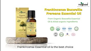 Frankincense Frereana Essential Oil  Nagaad Organics  100 Organic  Somalia  Dubai UAE [upl. by Ahsiekin45]