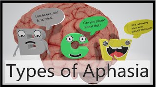 Aphasia Types Mnemonic [upl. by Searle714]