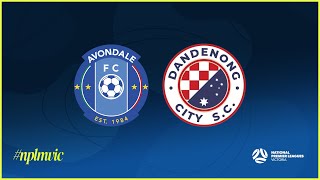 2024 NPLMVIC Round 1 Avondale FC v Dandenong City SC [upl. by Benkley328]