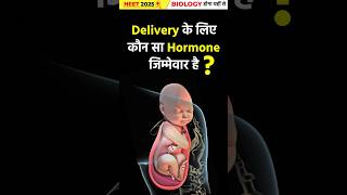 Fully Developed Foetus की delivery के लिये कौन सा hormone responsible हैं biologyforneet shorts [upl. by Saqaw]