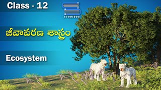 జీవావరణ శాస్త్రం  Ecosystem  Ecosystem Chapter  Biology Telugu  Class 12 Bipc 2nd year  Botany [upl. by Allenaj81]