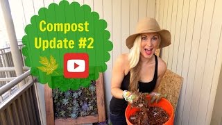 Compost Update Video 2 [upl. by Ainitsirk]