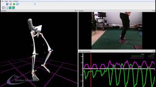 Hybrid Motion Capture with Qualisys Cameras and IMUs [upl. by Brietta91]