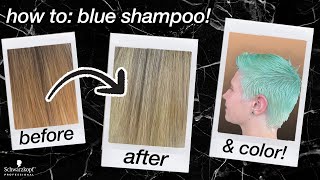 2 Ways to Use 🔹 BLUE SHAMPOO 🔹  GOODBYE ORANGE  Schwarzkopf Professional [upl. by Novick]