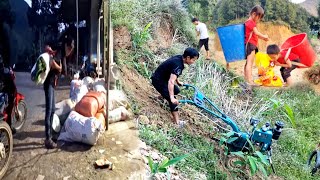 picking tea to sell harvesting giang leaveslyyennhi [upl. by Atinaujnas]