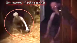 Unknown DISTURBING Creatures Caught on Camera 2023 [upl. by Ander116]