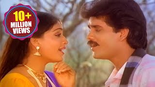 Janaki Ramudu Songs  Na Gonthu Shrutilona  Nagarjuna Vijayashanti [upl. by Marte]